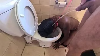 Jouer Une chienne se fait pisser dessus dans la cuvette du wc.