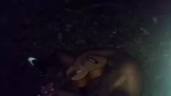 Play Outdoor Masturbation Under the Stars: Guitar Playing and Singing